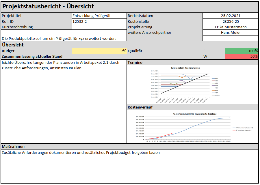 Übersichtsseite des Projektstatusberichts